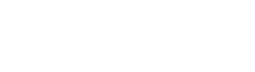 Feedback Company Light